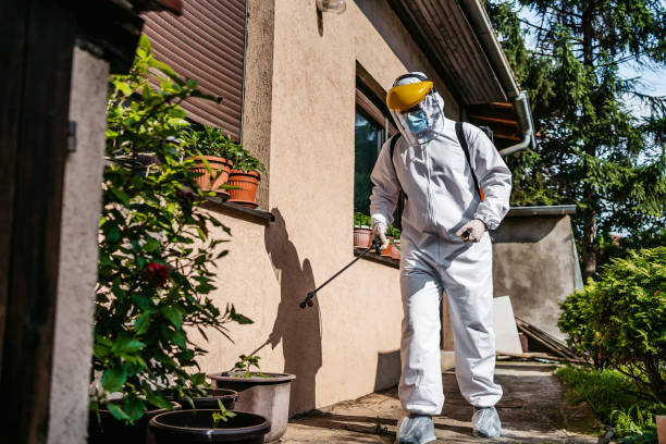 Best Rat Extermination Near Me  in Norwich, NY