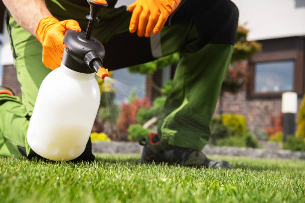 Best Pest Control for Restaurants  in Norwich, NY