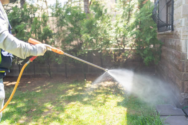 Best Best Pest Control Companies  in Norwich, NY
