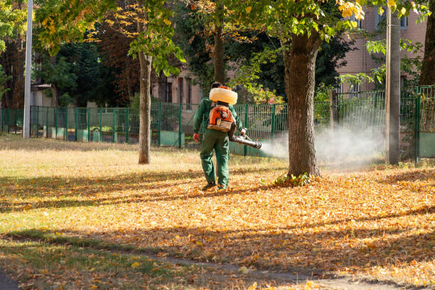 Best Residential Pest Control  in Norwich, NY